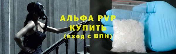 эйфоретик Баксан