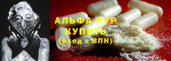 стаф Балахна