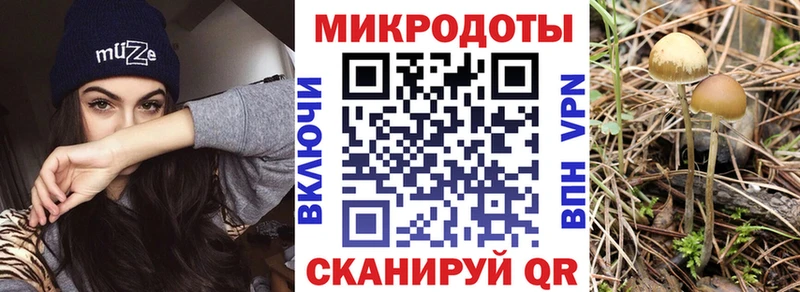Псилоцибиновые грибы Magic Shrooms где продают Владивосток
