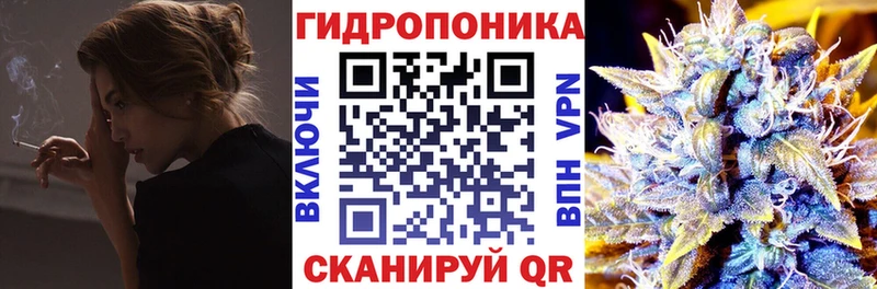 Шишки марихуана OG Kush  Владивосток 
